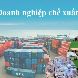 EPE (ENTERPRISE PROCESSING EXPORT) LÀ GÌ? ĐIỀU KIỆN VÀ THỦ TỤC THÀNH LẬP DOANH NGHIỆP EPE (KHU CHẾ XUẤT - EXPORT PROCESSING ZONE)